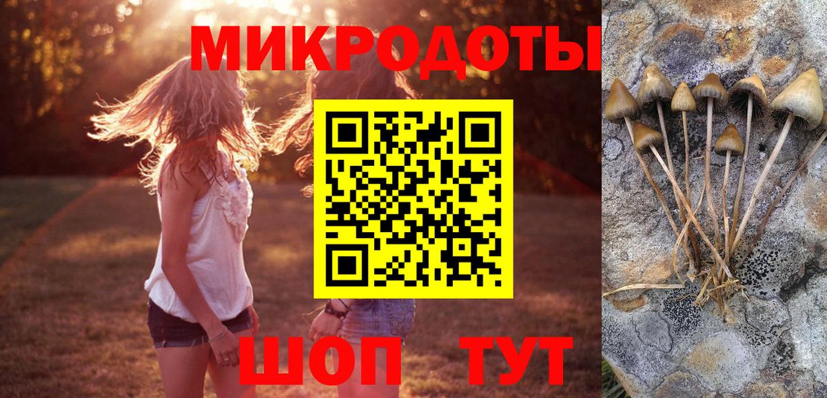 Галлюциногенные грибы MAGIC MUSHROOMS Красноармейск